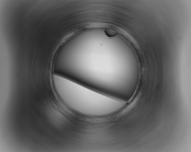 X0000099971033200805230957