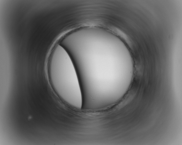 X0000099971035200805230957