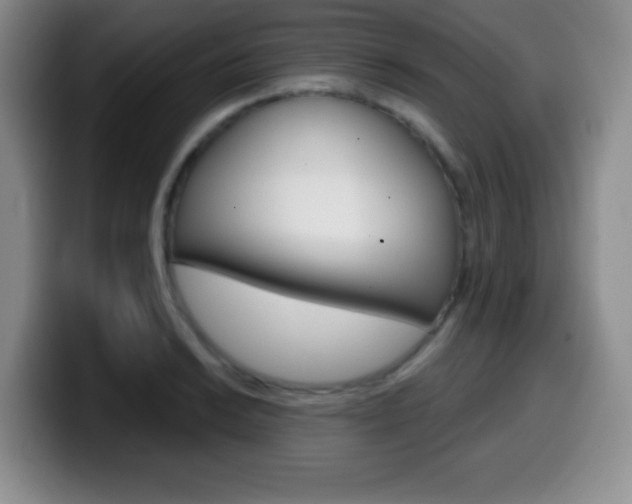 X0000099971038200805230957