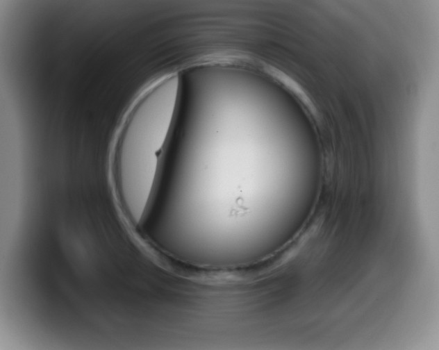X0000099971042200805230957
