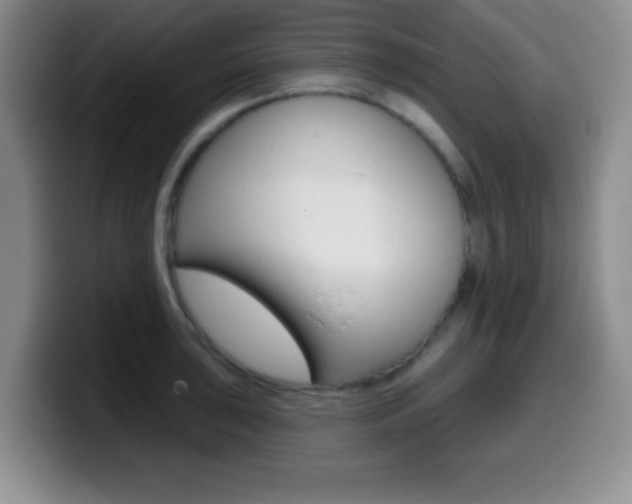 X0000099971043200805230957