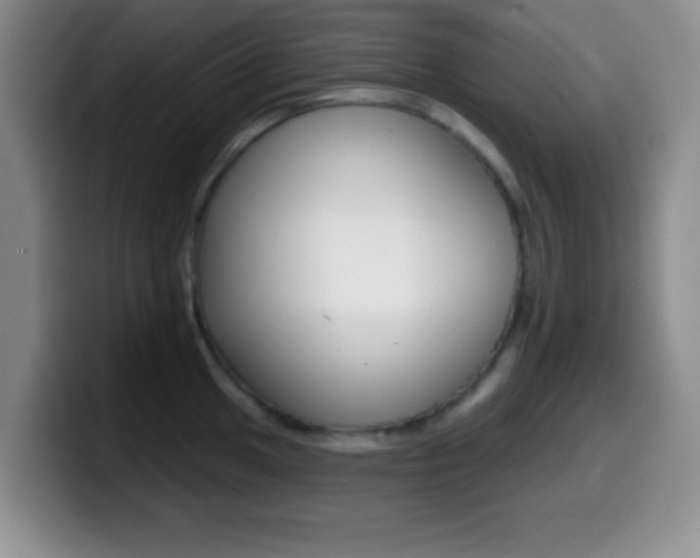 X0000099971049200805230958