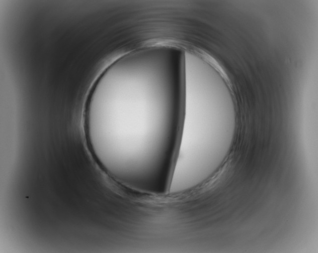 X0000099971050200805230958