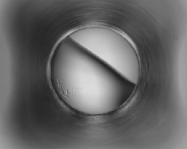 X0000099971053200805230958