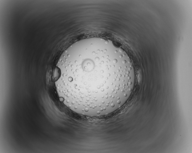 X0000099971059200805230957