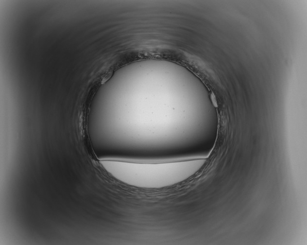 X0000099971060200805230957