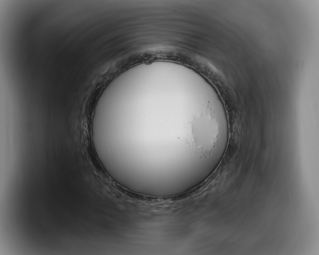 X0000099971062200805230957
