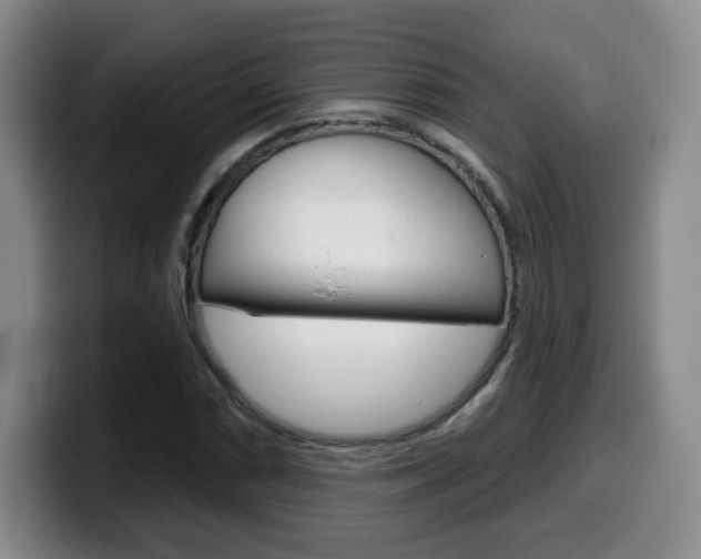 X0000099971066200805230957