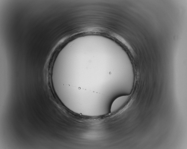 X0000099971067200805230957