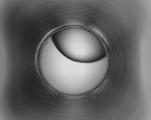 X0000099971068200805230957