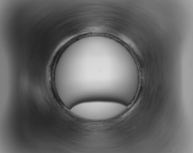 X0000099971070200805230957