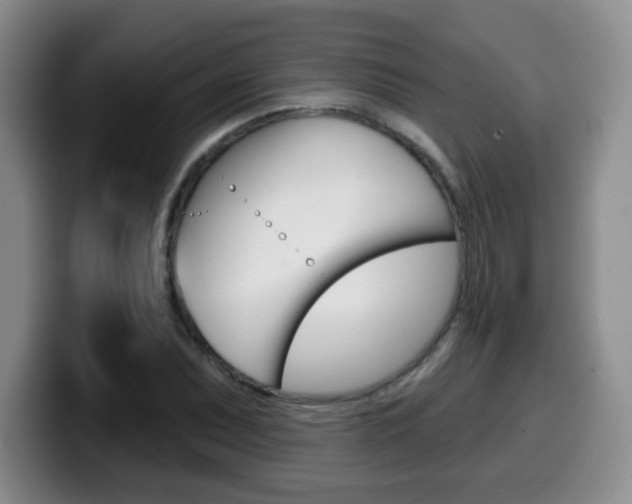 X0000099971071200805230957