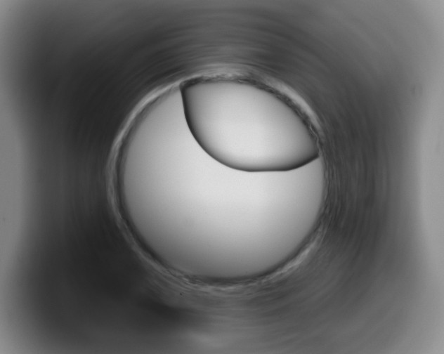 X0000099971075200805230957