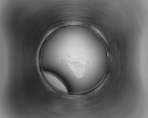 X0000099971082200805230957