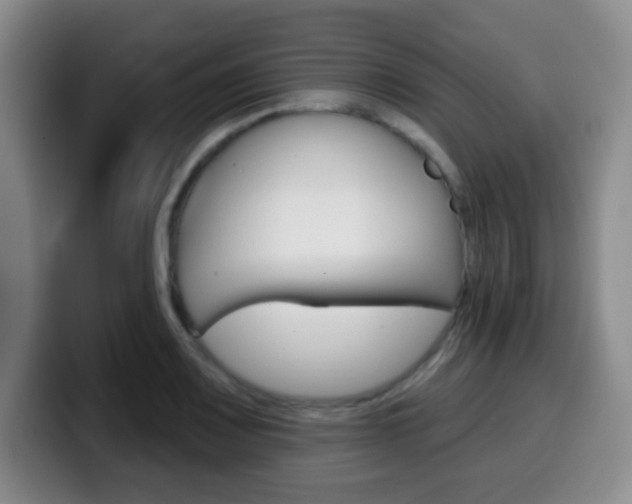 X0000099971083200805230957