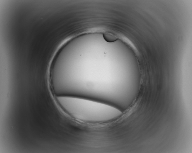 X0000099971087200805230957