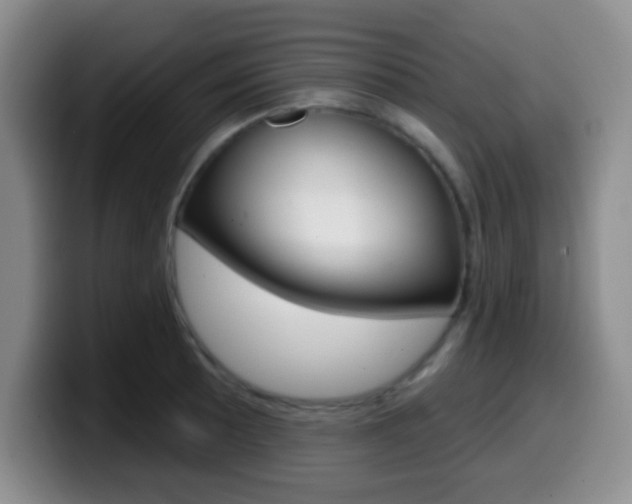X0000099971089200805230957