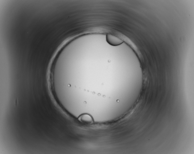 X0000099971091200805230956