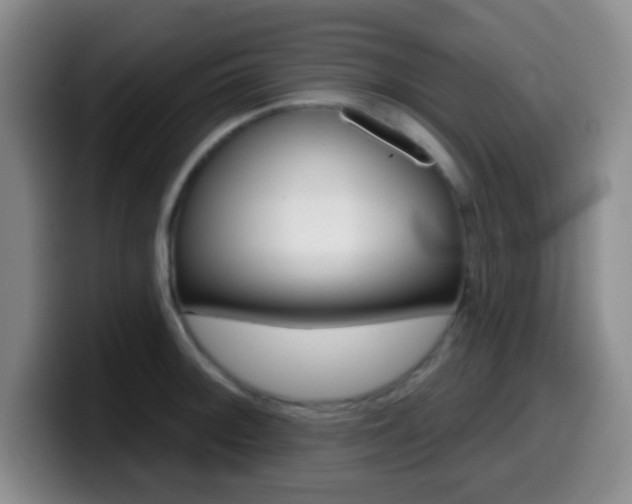 X0000099971092200805230956