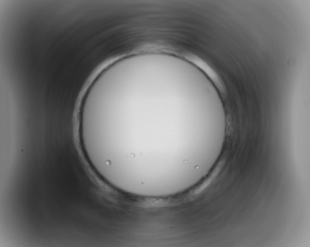 X0000099971094200805230956