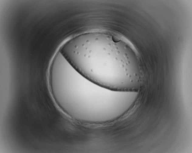 X0000099971095200805230956