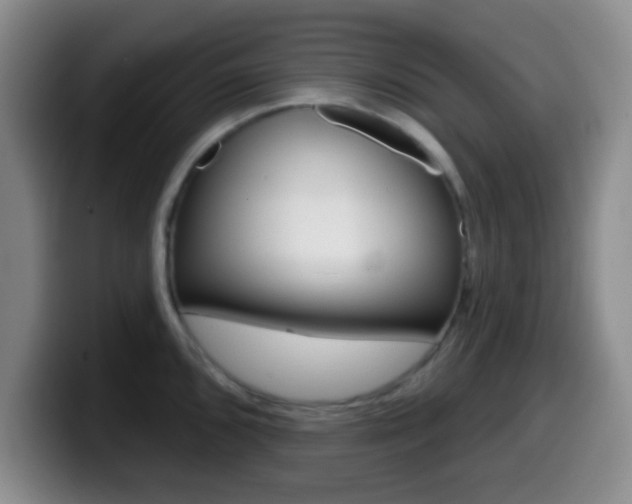 X0000099971096200805230956