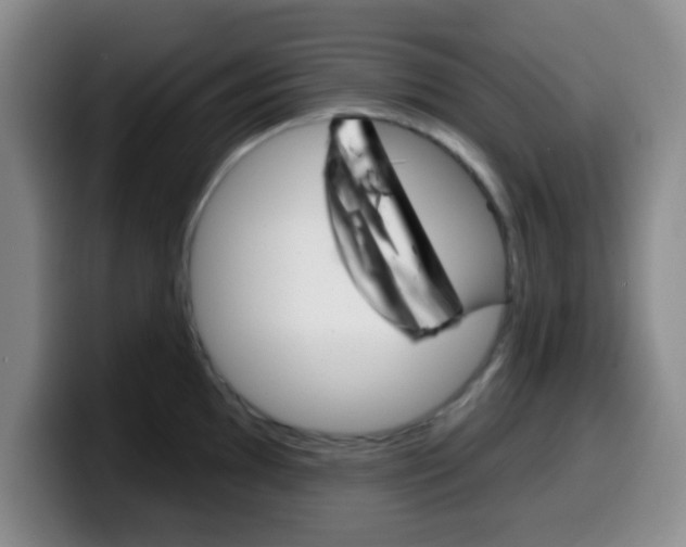 X0000099971097200805230956