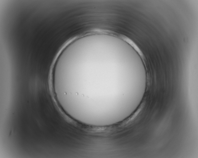 X0000099971098200805230956
