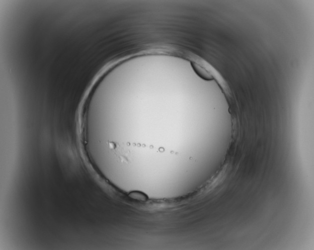 X0000099971099200805230956