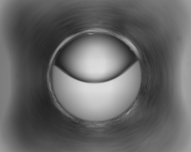 X0000099971100200805230956
