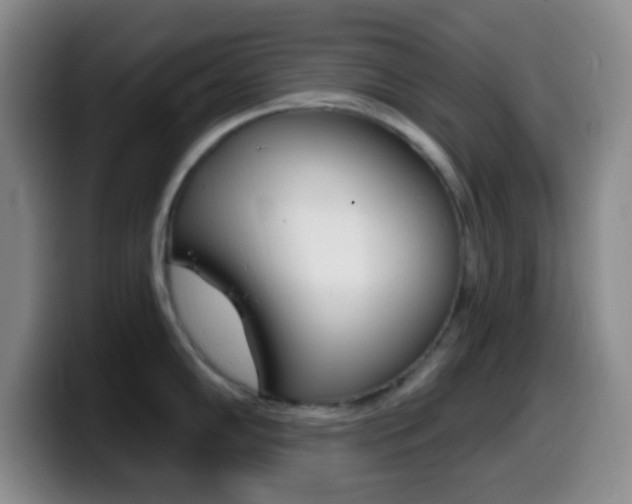 X0000099971102200805230956