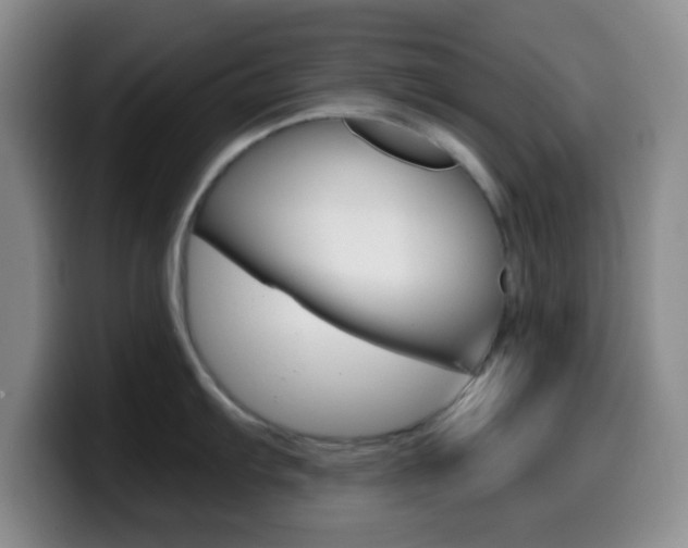 X0000099971103200805230956