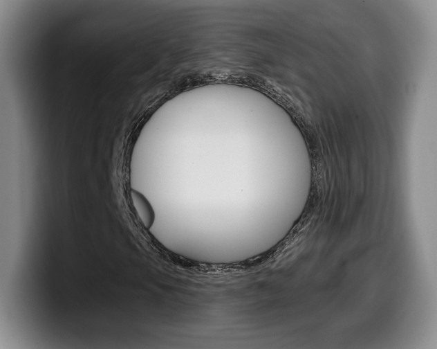 X0000099971105200805230956