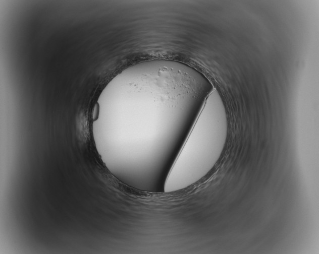 X0000099971106200805230956