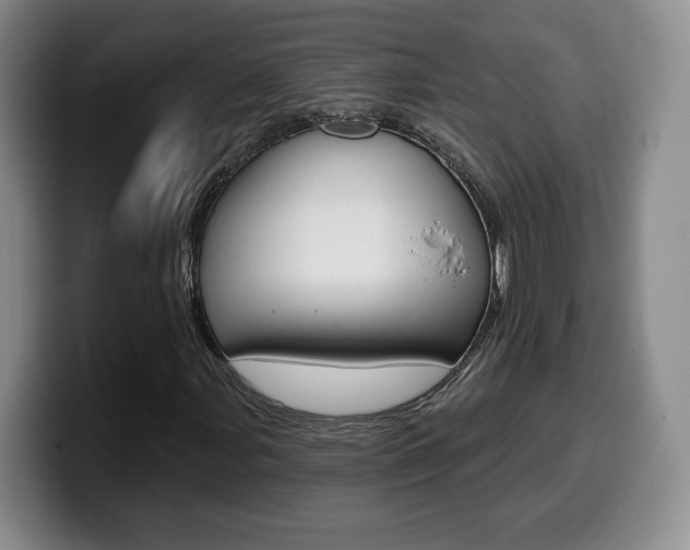 X0000099971107200805230956