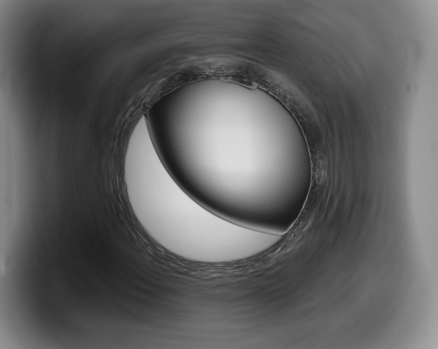 X0000099971108200805230956