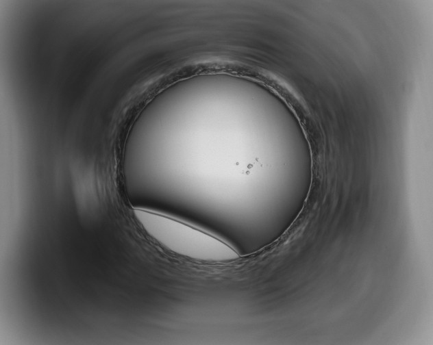 X0000099971111200805230956