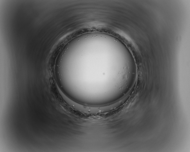 X0000099971112200805230956