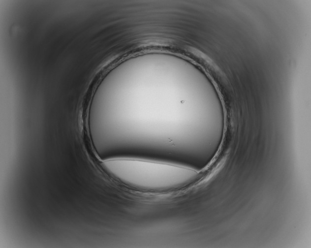 X0000099971113200805230956
