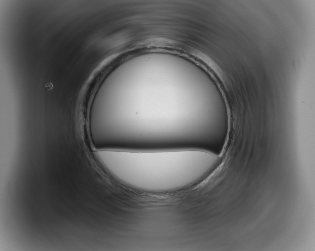 X0000099971115200805230956