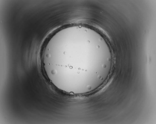 X0000099971117200805230956