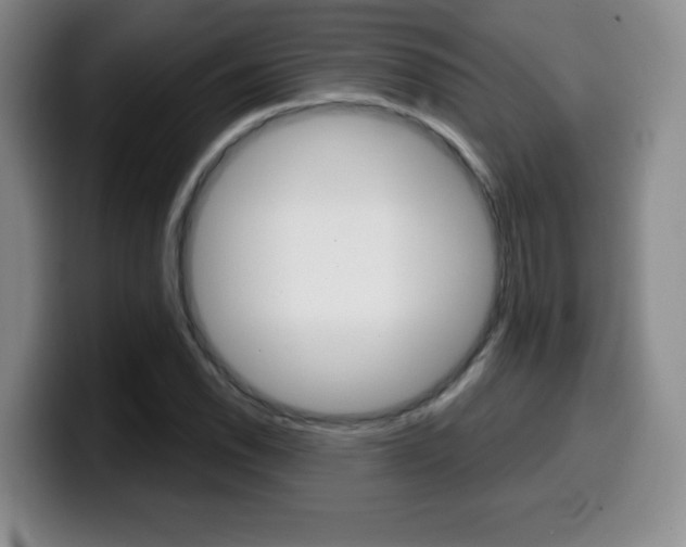 X0000099971118200805230956