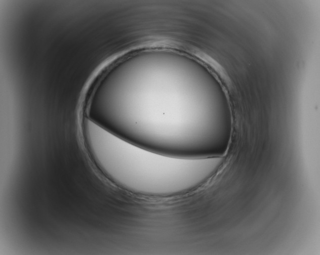 X0000099971120200805230956