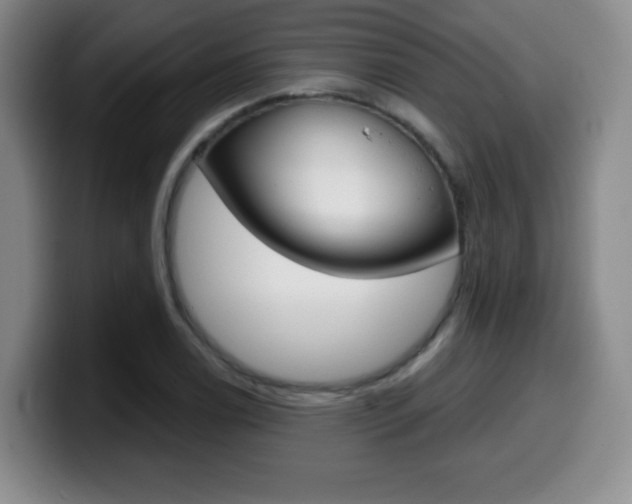 X0000099971122200805230956