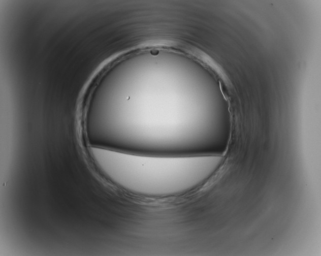 X0000099971124200805230956