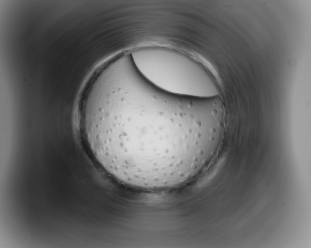 X0000099971125200805230956