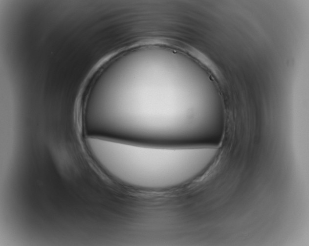 X0000099971127200805230956