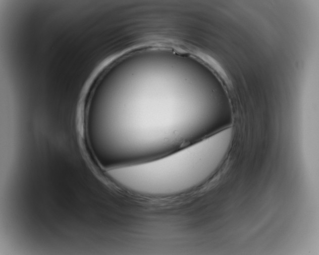 X0000099971128200805230956
