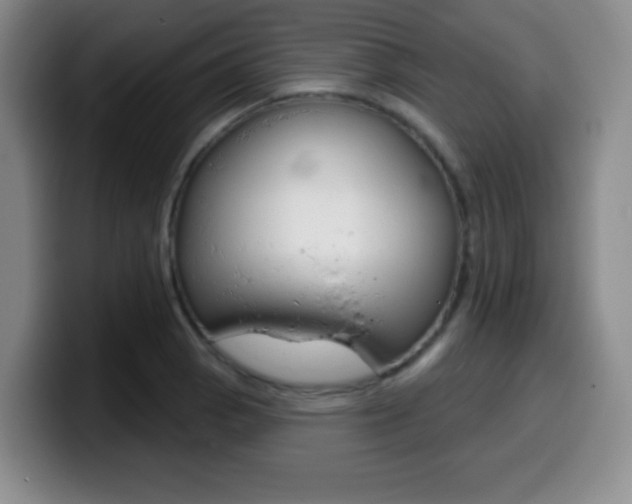 X0000099971129200805230956