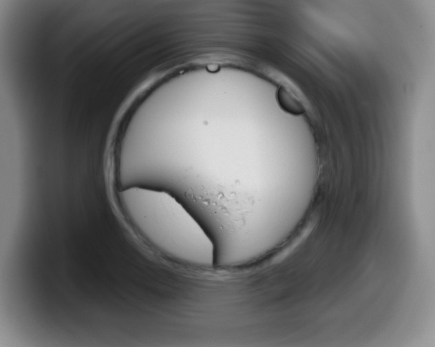 X0000099971130200805230956